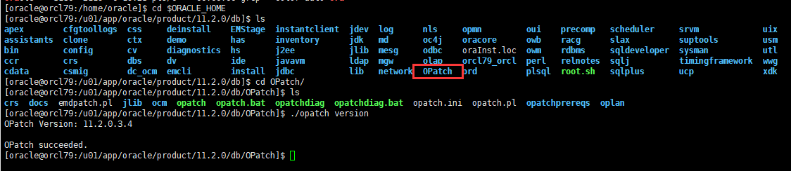 image-20211118192559635