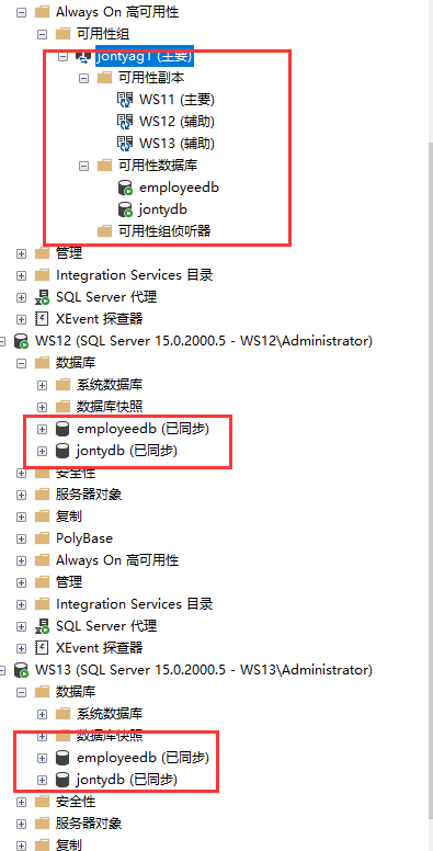 image-20211212155829069