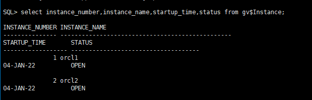 image-20220104154654400