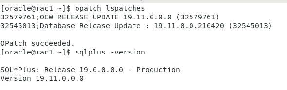 image-20220110173912817