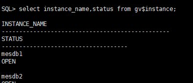 image-20220111105817916