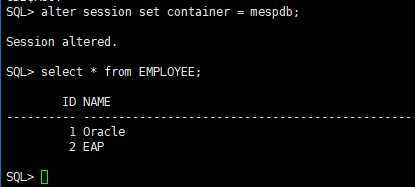 image-20220111135703283