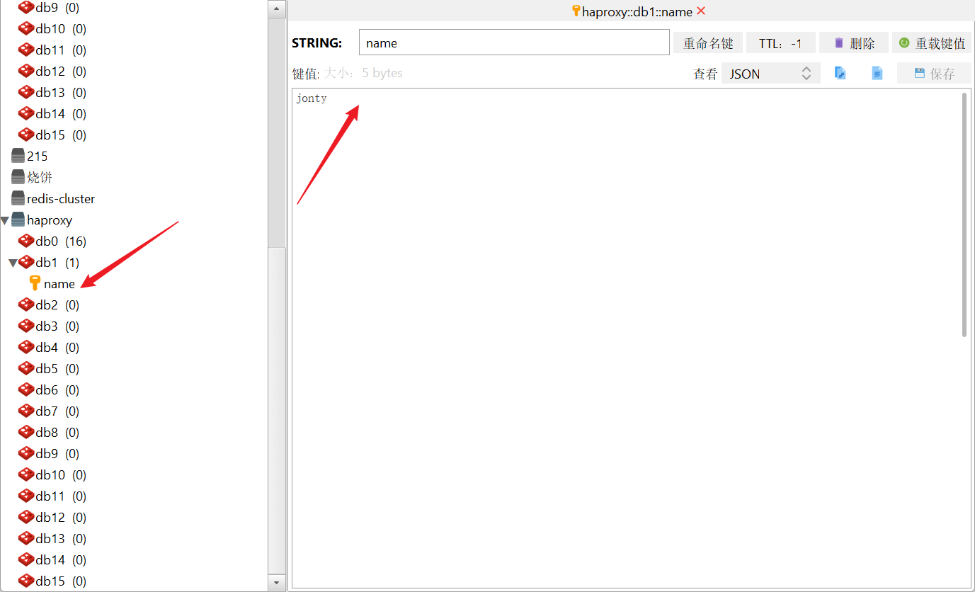 image-20230203111313941